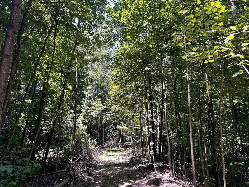 0 Parkinson Road, Unit (Tract 8 a, Langsville, OH 45741 Photo 33