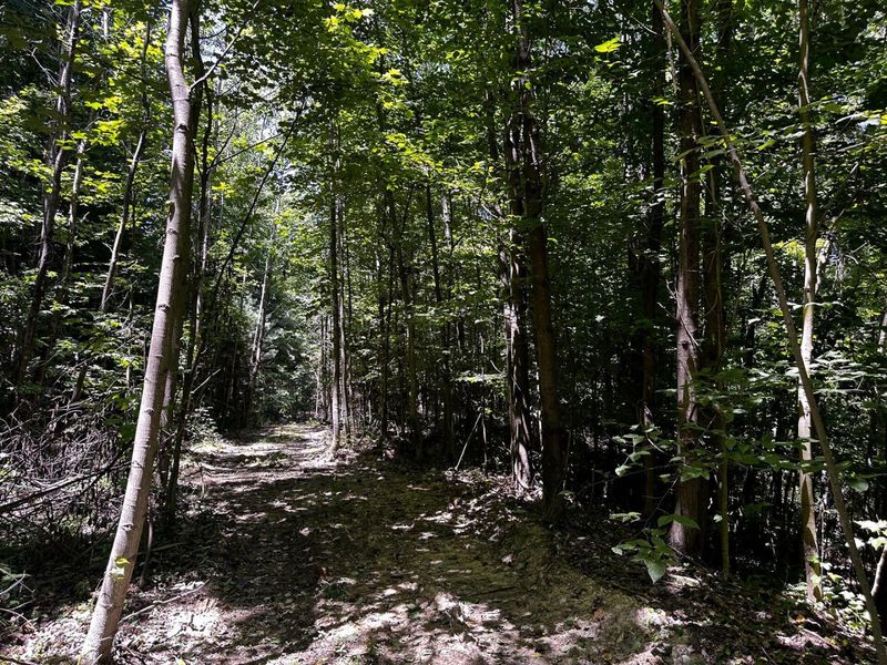 0 Parkinson Road, Unit (Tract 8 a, Langsville, OH 45741 Photo 35