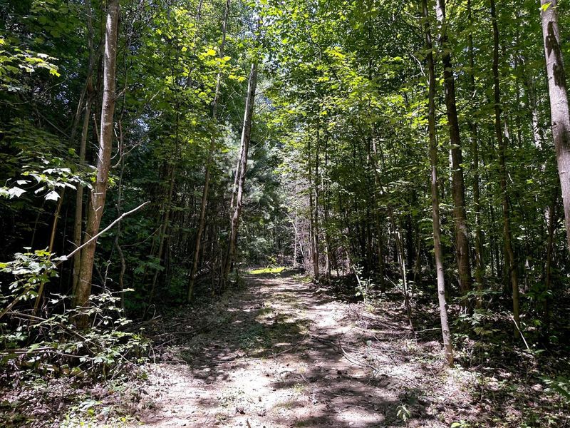 0 Parkinson Road, Unit (Tract 8 a, Langsville, OH 45741 Photo 36