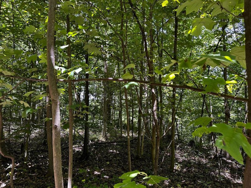 0 Parkinson Road, Unit (Tract 8 a, Langsville, OH 45741 Photo 37