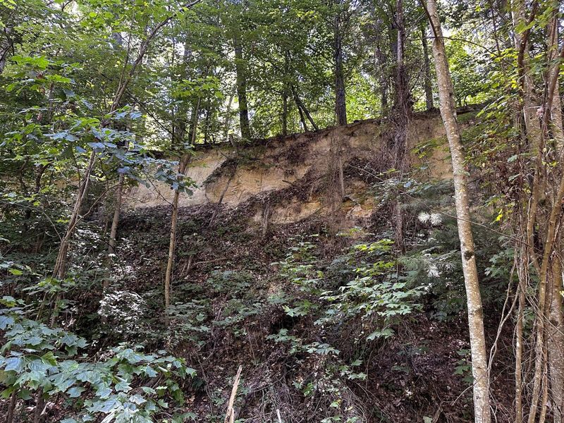 0 Parkinson Road, Unit (Tract 8 a, Langsville, OH 45741 Photo 38