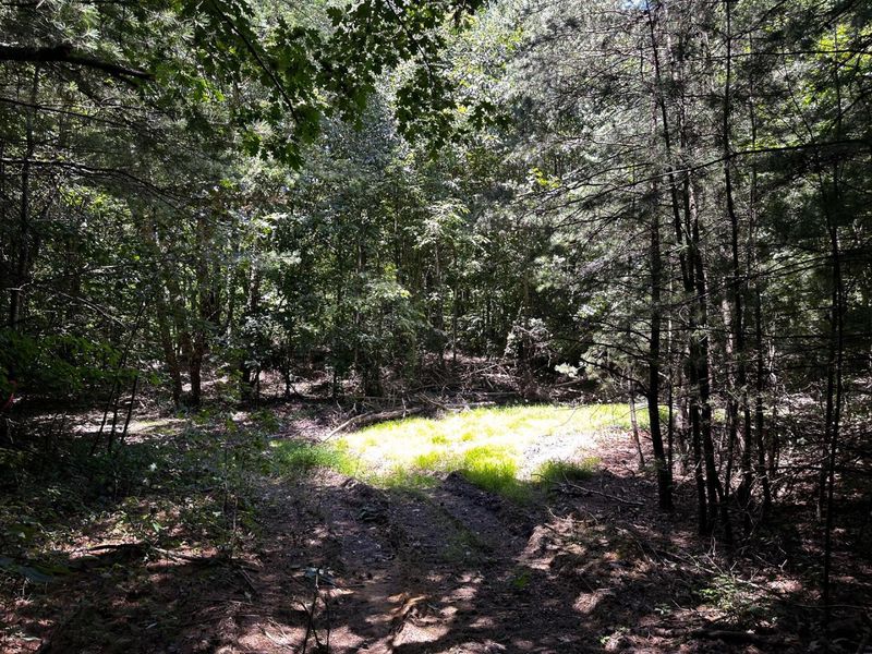 0 Parkinson Road, Unit (Tract 8 a, Langsville, OH 45741 Photo 39