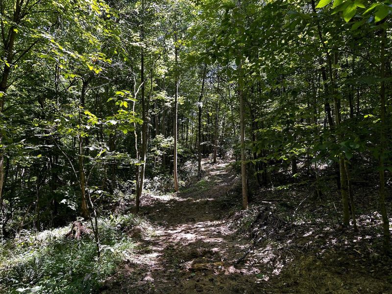 0 Parkinson Road, Unit (Tract 8 a, Langsville, OH 45741 Photo 40