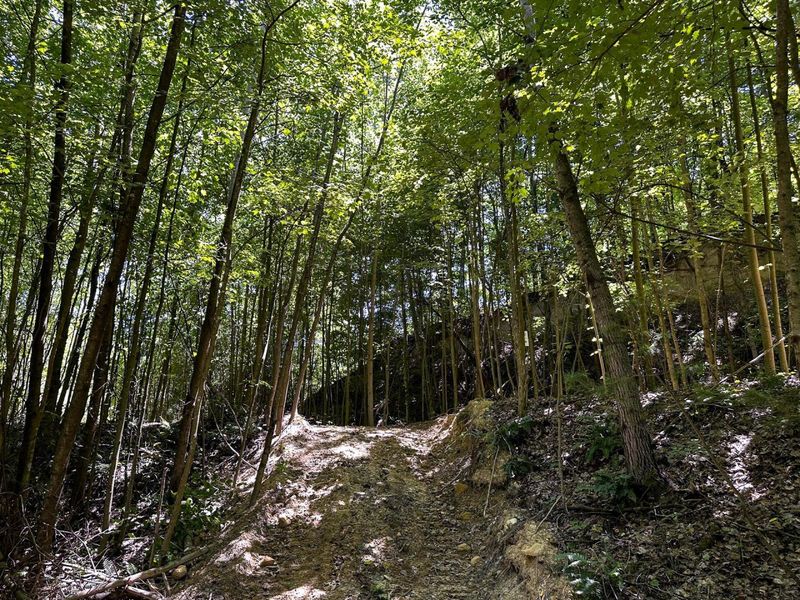 0 Parkinson Road, Unit (Tract 8 a, Langsville, OH 45741 Photo 41