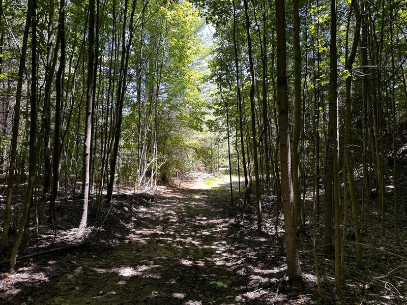 0 Parkinson Road, Unit (Tract 8 a, Langsville, OH 45741 Photo 42