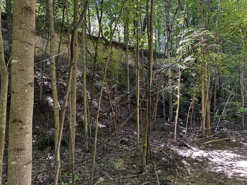 0 Parkinson Road, Unit (Tract 8 a, Langsville, OH 45741 Photo 44