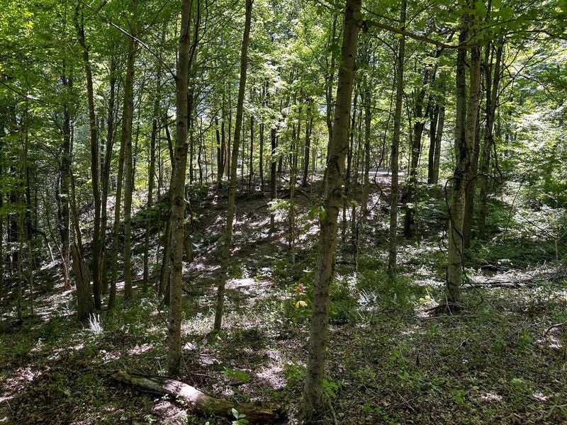 0 Parkinson Road, Unit (Tract 8 a, Langsville, OH 45741 Photo 45