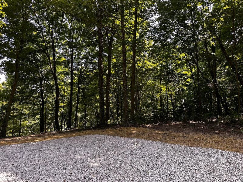 0 Parkinson Road, Unit (Tract 8 a, Langsville, OH 45741 Photo 49