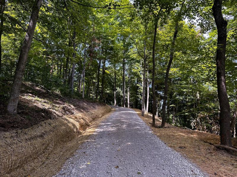 0 Parkinson Road, Unit (Tract 8 a, Langsville, OH 45741 Photo 5