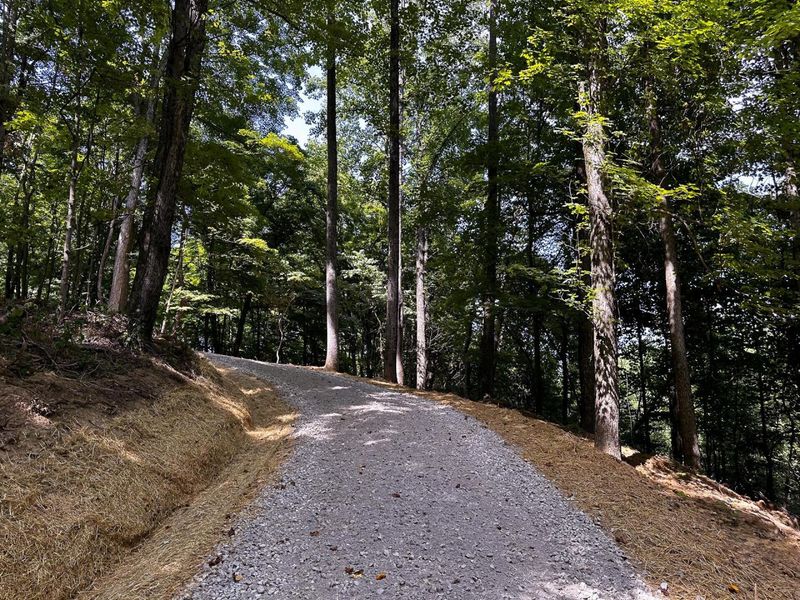 0 Parkinson Road, Unit (Tract 8 a, Langsville, OH 45741 Photo 6