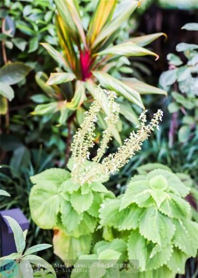 3301 SE 12th Street, Pompano Beach, FL 33062 Photo