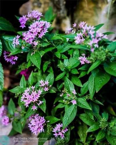 3301 SE 12th Street, Pompano Beach, FL 33062 Photo