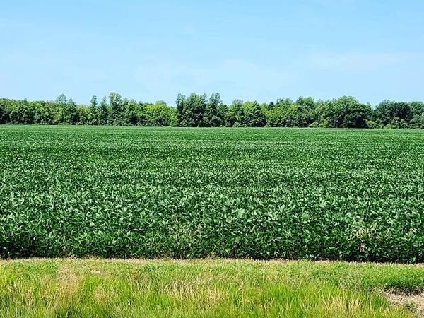 0 S Marion Street, Bloomville, OH 44818