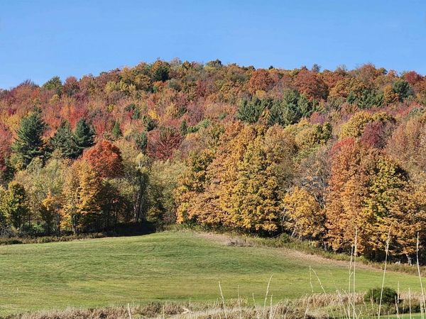 3007 West Berkshire Road, Berkshire, VT 05450