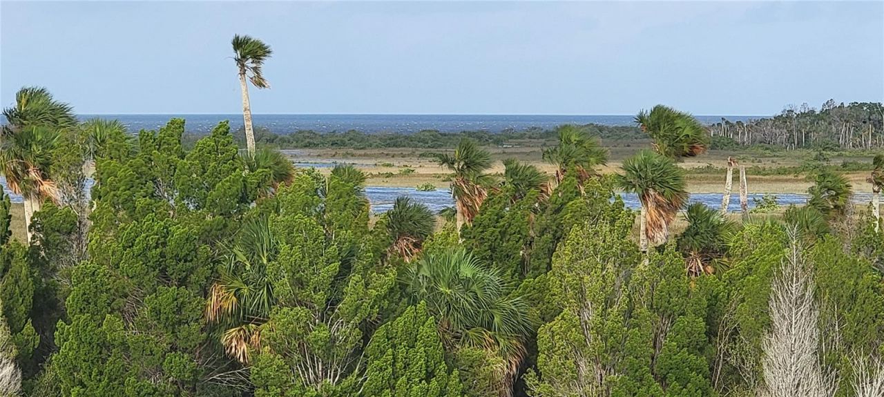 3397 Bluefish Drive, Hernando Beach, FL 34607 Photo
