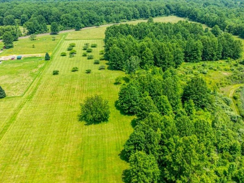 14236 W Akron Canfield Road, Berlin Center, OH 44401 Photo 23