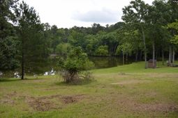 2335 Rolling Hills Road photo 4