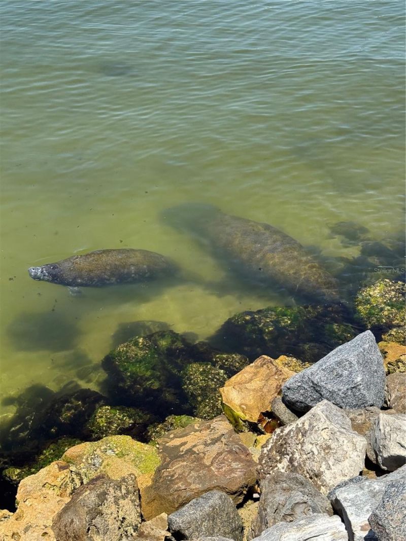 6418 Bright Bay Court, Apollo Beach, FL 33572 Photo