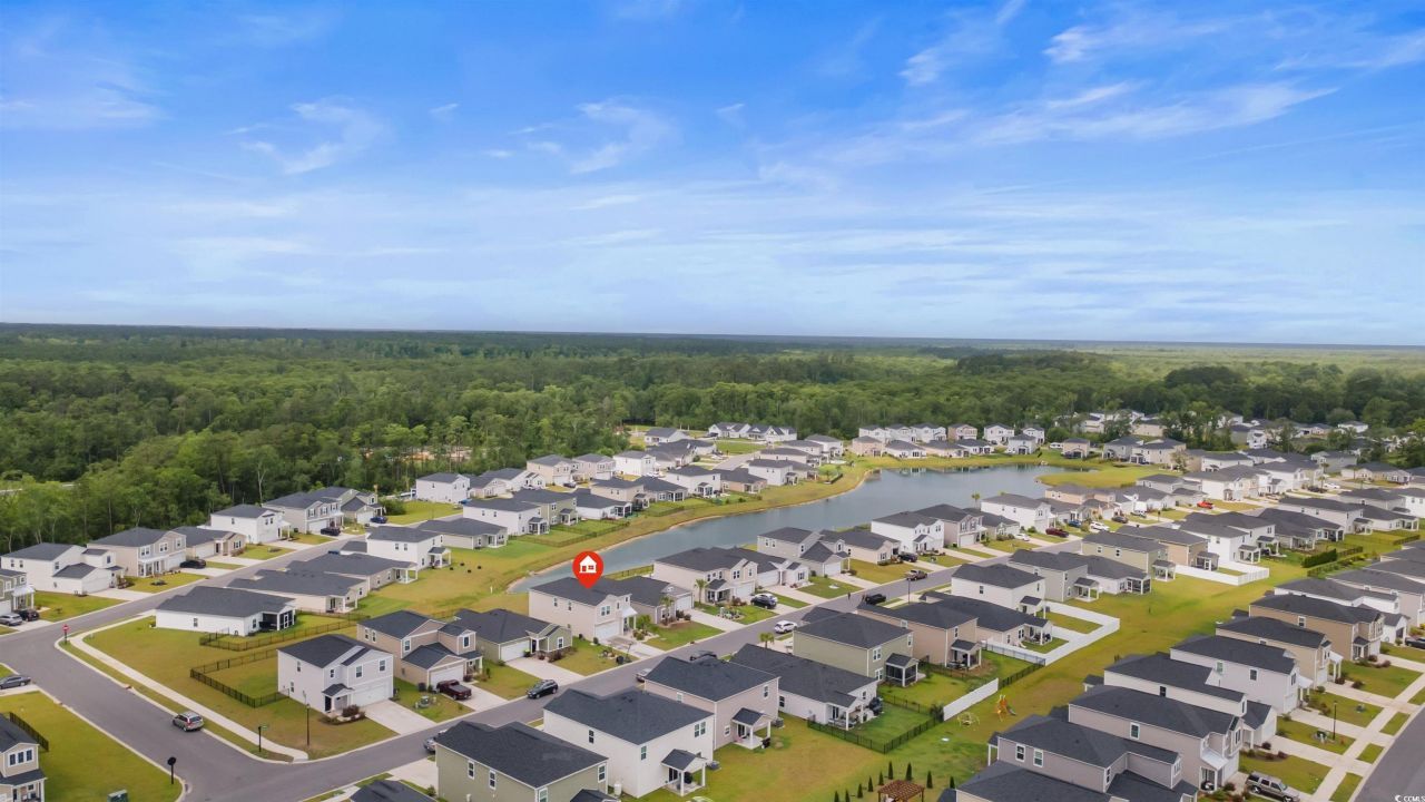 1078 Saltgrass Way Photo 38