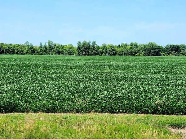 0 S Marion Street, Bloomville, OH 44818