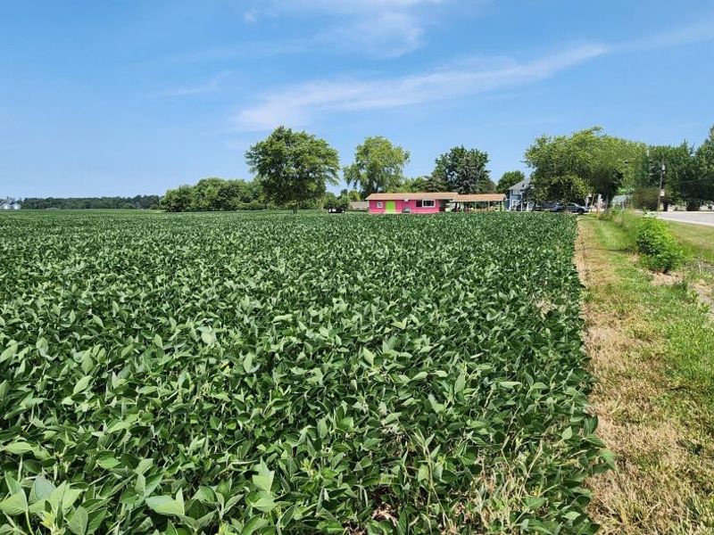 0 S Marion Street, Bloomville, OH 44818 Photo 2