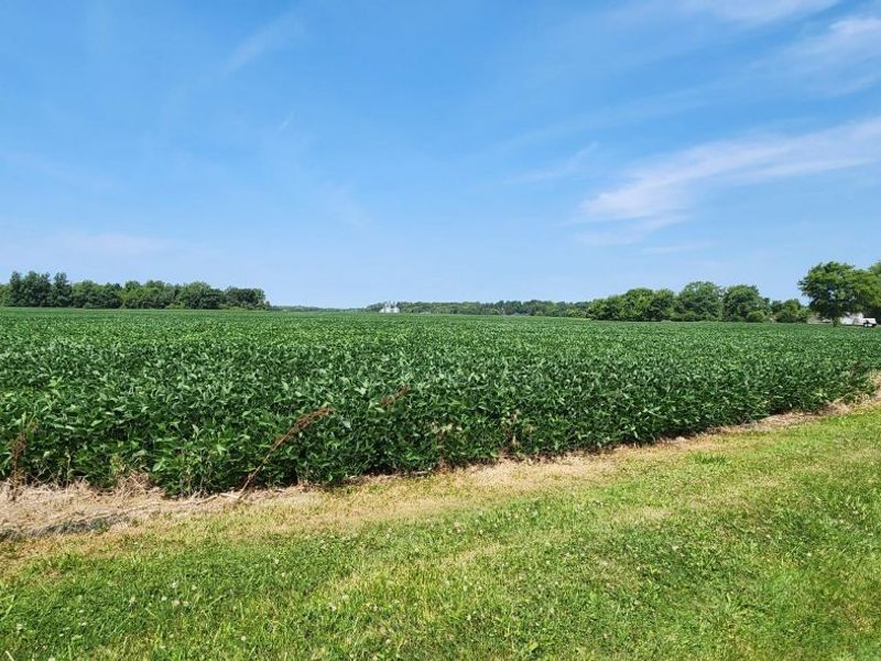 0 S Marion Street, Bloomville, OH 44818 Photo 3