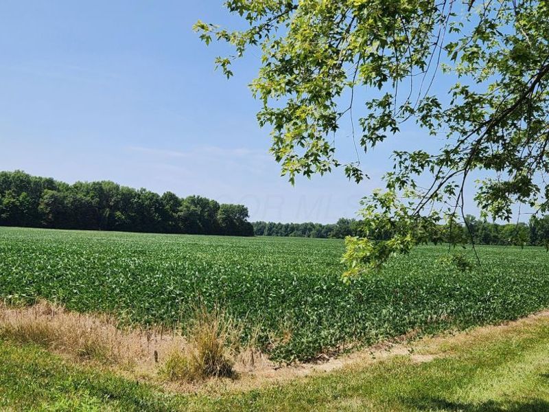 0 S Marion Street, Bloomville, OH 44818 Photo 4