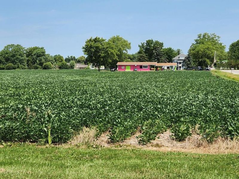 0 S Marion Street, Bloomville, OH 44818 Photo 5