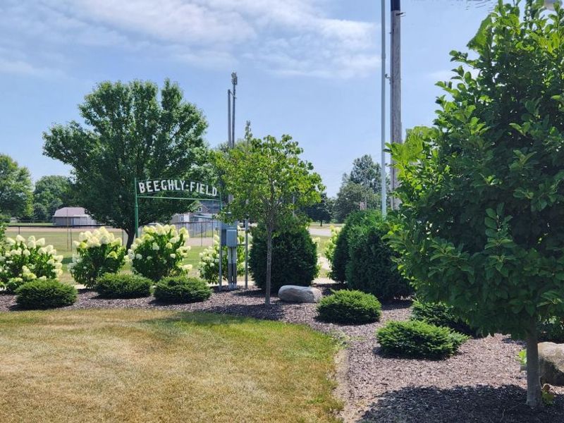 0 S Marion Street, Bloomville, OH 44818 Photo 6