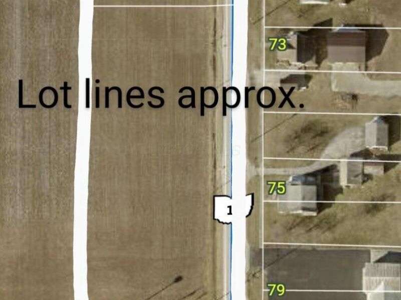 0 S Marion Street, Bloomville, OH 44818 Photo 7