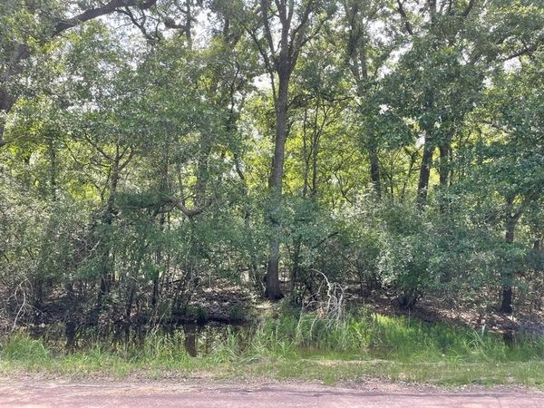 TBD County Road 750, Thornton, TX 76687