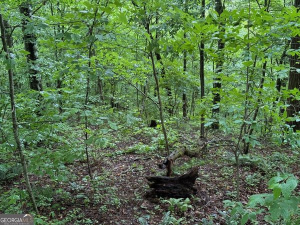 8 Black Bear Trail, Hiawassee, GA 30546