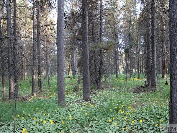 3511 Buffalo Lane, ISLAND PARK, ID 83429