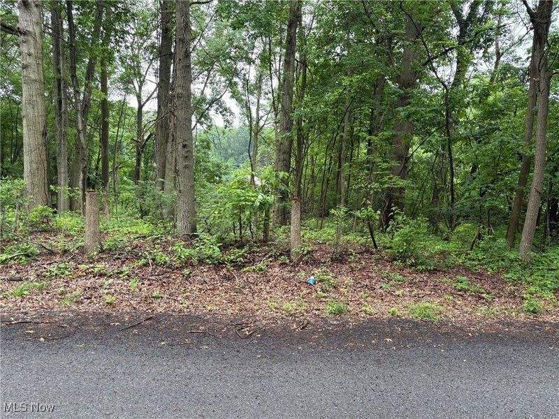 2077 Coleman Avenue, Akron, OH 44312 Photo 2