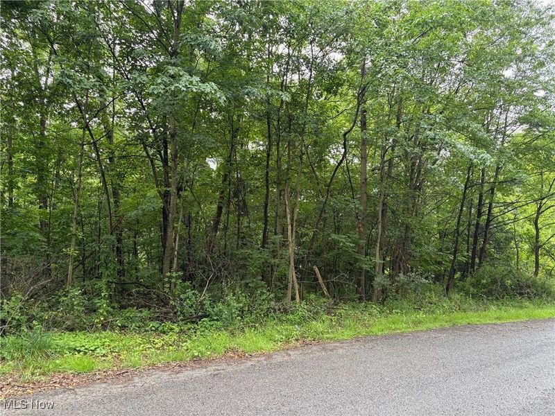 2077 Coleman Avenue, Akron, OH 44312 Photo 3