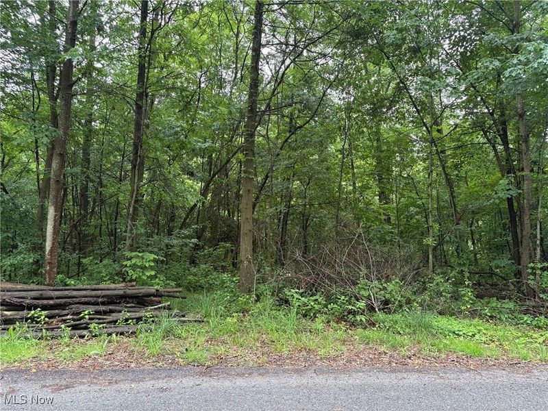 2077 Coleman Avenue, Akron, OH 44312 Photo 4