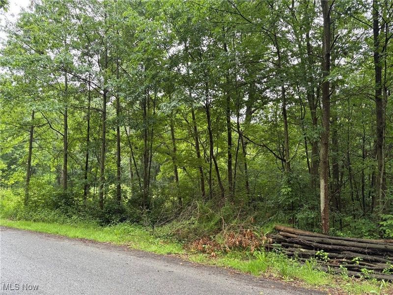 2077 Coleman Avenue, Akron, OH 44312 Photo 5