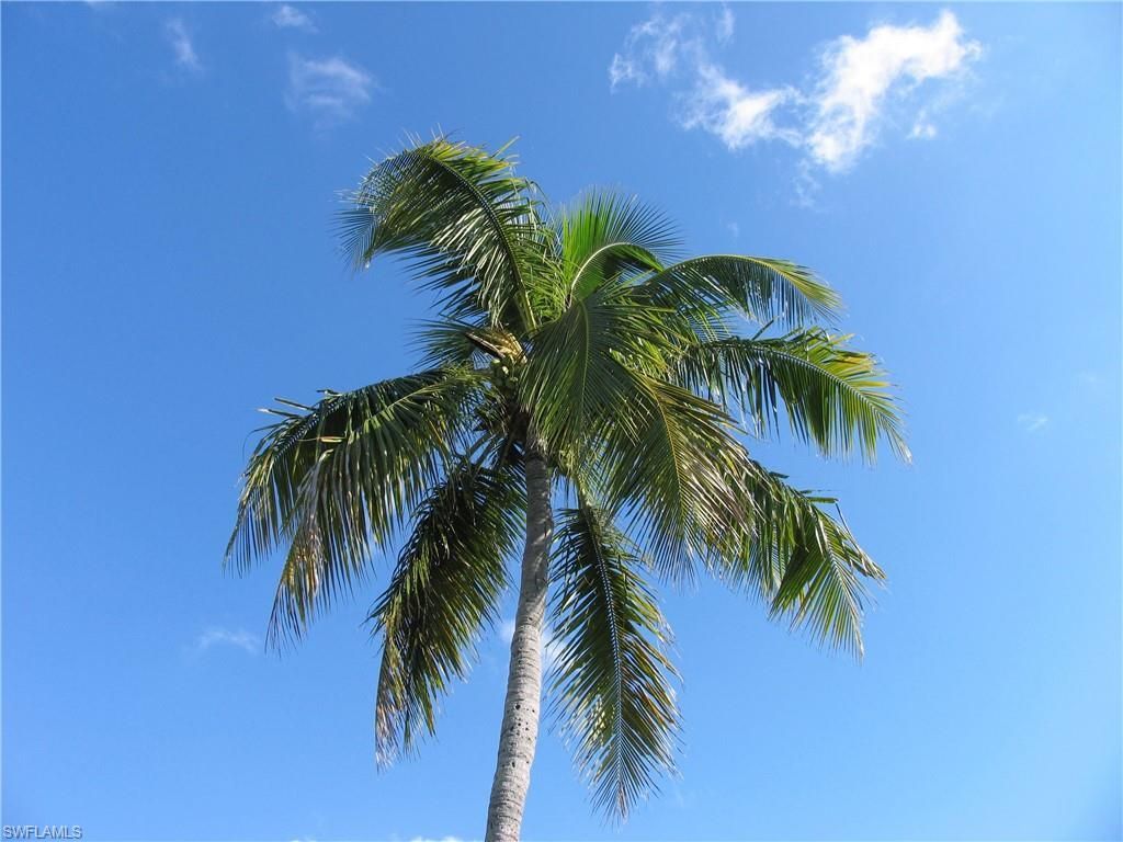 834 SE 46th St, Unit 2A, Cape Coral, FL 33904 Photo