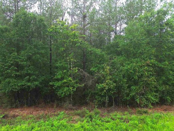 Lot 86 Pineview Church Rd, Jay, FL 32565