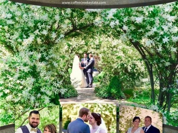 1591 State Route 45, Austinburg, OH 44010