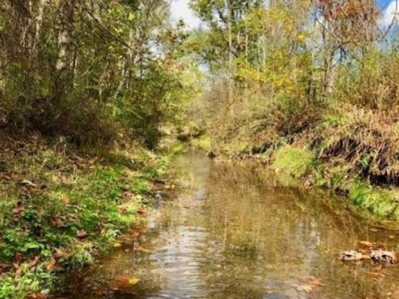 1591 State Route 45, Austinburg, OH 44010 Photo 26