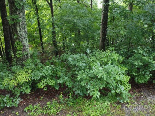 #46 Hemlock Trail, Columbus, NC 28722