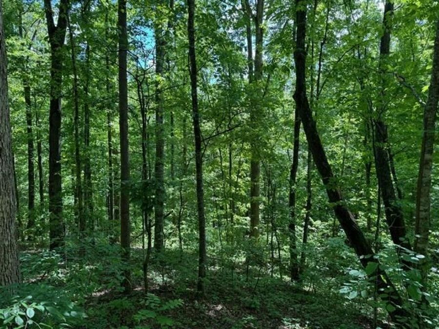 Property Image 66