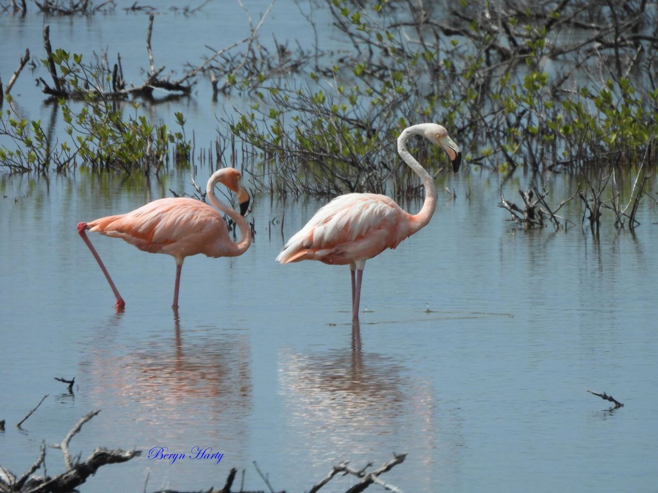 823 Indies Road, Ramrod, FL 33042 Photo