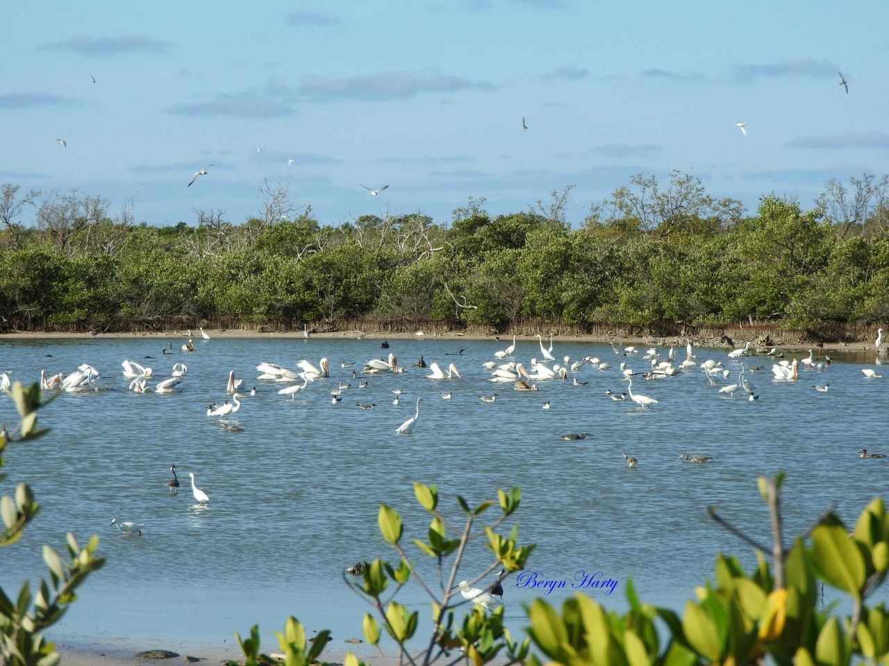 823 Indies Road, Ramrod, FL 33042 Photo