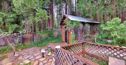 60139 Mount Tomba Road, Graeagle, CA 00000 Photo
