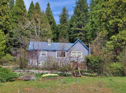 60139 Mount Tomba Road, Graeagle, CA 00000 Photo