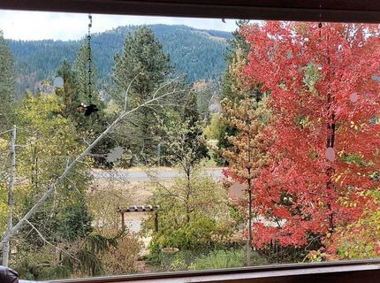 60139 Mount Tomba Road, Graeagle, CA 00000 Photo