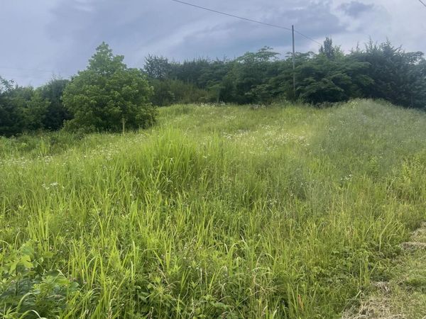 N/A Oakwood Road, Midway, TN 37809