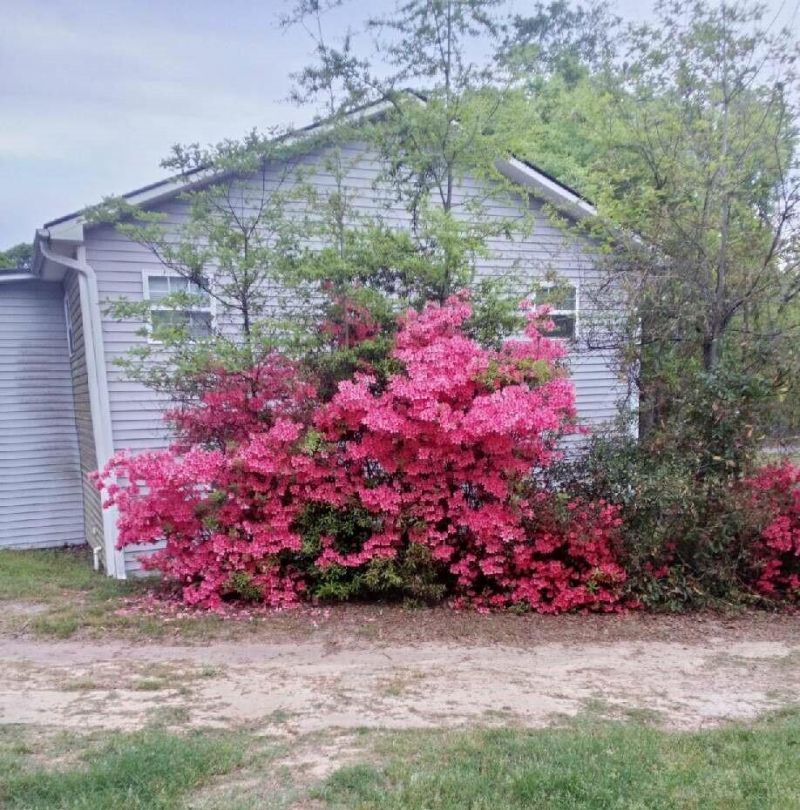 1201 Crescent Street Photo 4